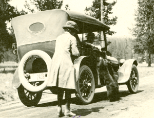 bear Pioneer Museum2