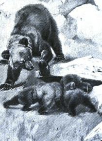 Screen Shot 2014-03-12 at 9.19.17 AM