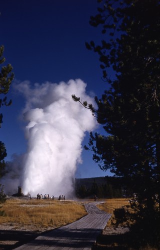 Giant Geyser YDSF05074